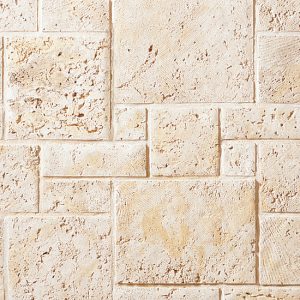Cultured Stone® - Coral Stone, Fossil Reef with half inch mortar joints