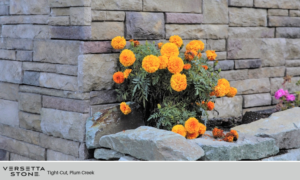 Outdoor Living Landscape Design Versetta Stone Tight Cut Plum Creek