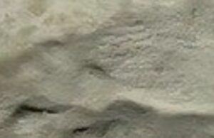 Willki Stone - Crema