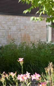 Cultured Stone® - Coral Stone, Fossil Reef