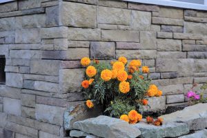 Versetta Stone® - Tight-Cut, Plum Creek