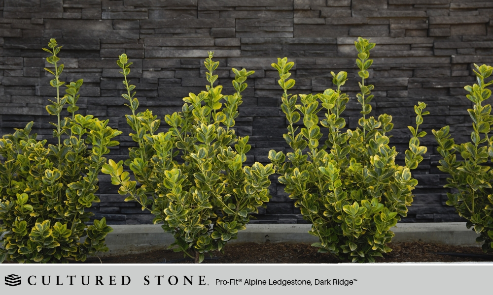 Outdoor Living Landscape Design Cultured Stone Pro Fit Alpine Ledgestone Dark Ridge