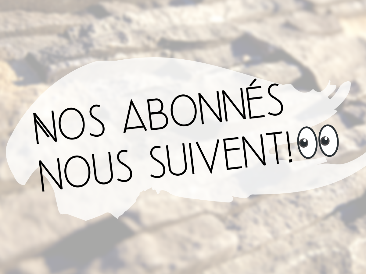 Nos abonnés nous suivent! Nous nous en réjouissons avec notre concours All Things Swag
