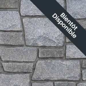 Pangaea® Natural Stone – Quarry Ledgestone®, Chinook avec demi pouce joints de mortier