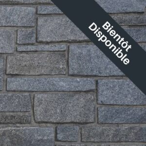 Pangaea® Natural Stone – Ledgestone, Chinook avec demi pouce joints de mortier