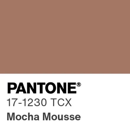 Couleur Pantone de l'année 2025 - Mocha Mousse