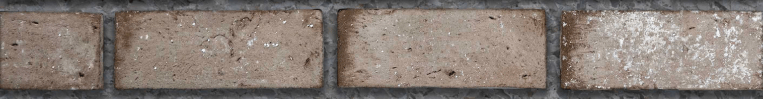 Ressources Flex Bricks | CSI CA-FR