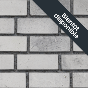 Flex Bricks - BGB, Cloudy Ash
