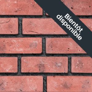 Flex Bricks - BGB, MRJ