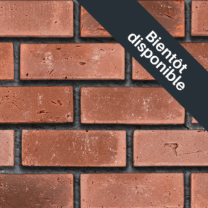 Flex Bricks - BGB, Maroon