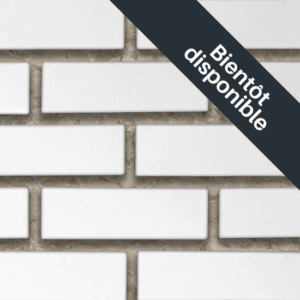 Flex Bricks - CWC, Cloudy White