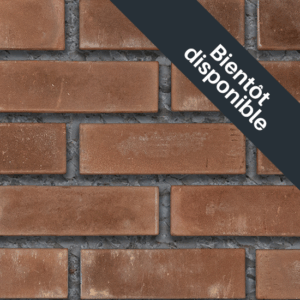 Flex Bricks - CWC, Maroon