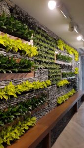 Pangaea® Natural Stone – Microledge, West Coast