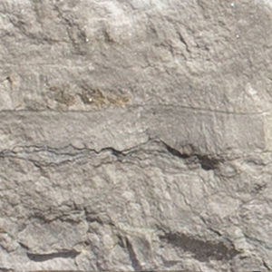 ThinCut™ Natural Stone Veneer - Watertable Sill, Mountain Ridge