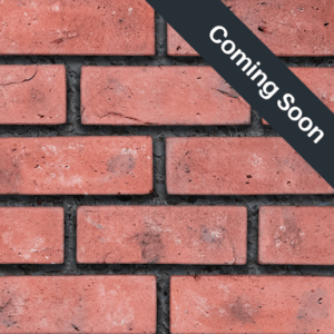 Flex Bricks - BGB, MRJ