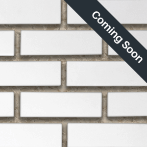 Flex Bricks - CWC, Cloudy White